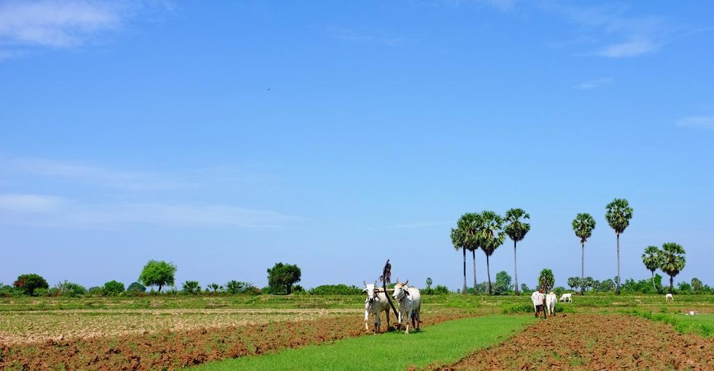 Red House Hotel Koh Dach ภายนอก รูปภาพ